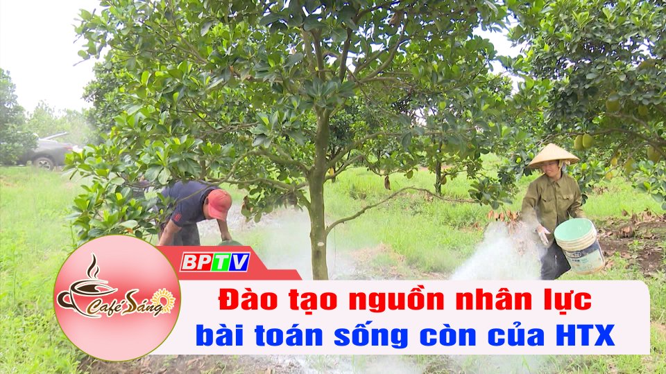 Đào tạo nguồn nhân lực, bài toán sống còn của HTX | Cà phê sáng 4-10-2022 || BPTV