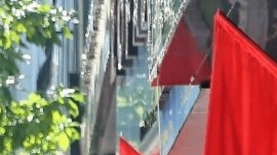 Đề xuất tăng th&ecirc;m hai ng&agrave;y nghỉ dịp Quốc kh&aacute;nh 2/9 #shorrts