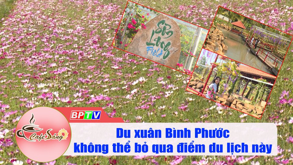 Điểm đến không thể bỏ qua khi du xuân Bình Phước |Cà phê sáng 5-2-2022| BPTV