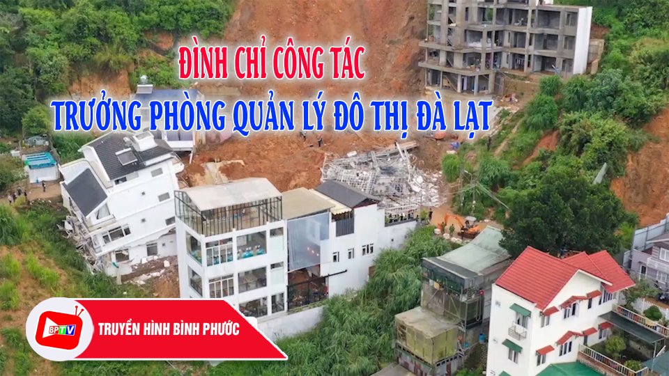 Đình chỉ công tác Trưởng phòng Quản lý đô thị Đà Lạt sau vụ sạt lở |BPTV
