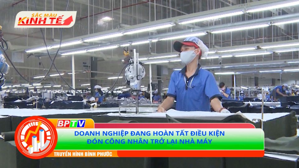Doanh nghiệp tỉnh Bình Phước sẵn sàng phương án đón công nhân trở lại làm việc |Sắc màu kinh tế 12-10-2021 |BPTV