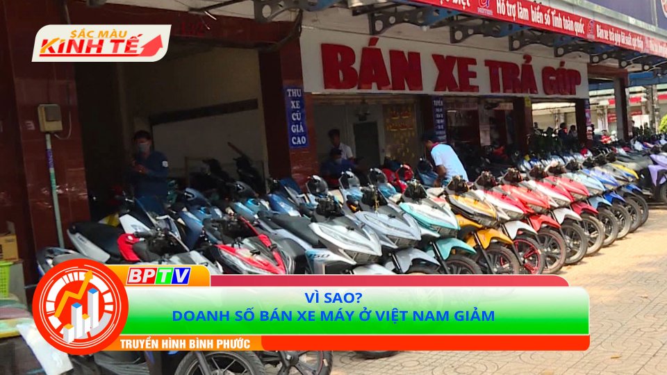 Doanh số bán xe máy ở Việt Nam tiếp tục tụt dốc |Sắc màu kinh tế 18-10-2021 |BPTV