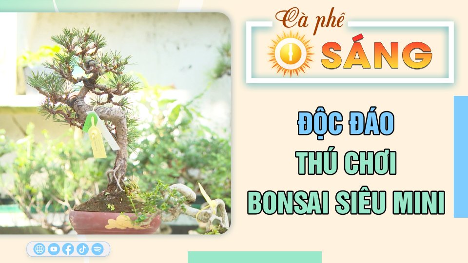 Độc đáo thú chơi bonsai siêu mini | Cà phê sáng 19-2-2023 || BPTV