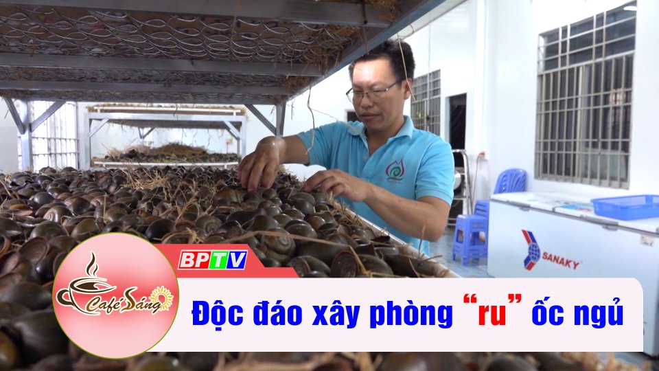 Độc đáo xây phòng “ru” ốc ngủ | Cà phê sáng 16-10-2022 || BPTV