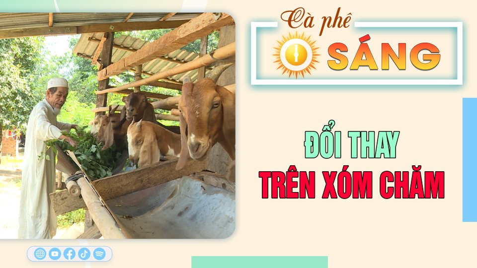 Đổi thay trên xóm Chăm |Cà phê sáng 17-8-2023 ||BPTV