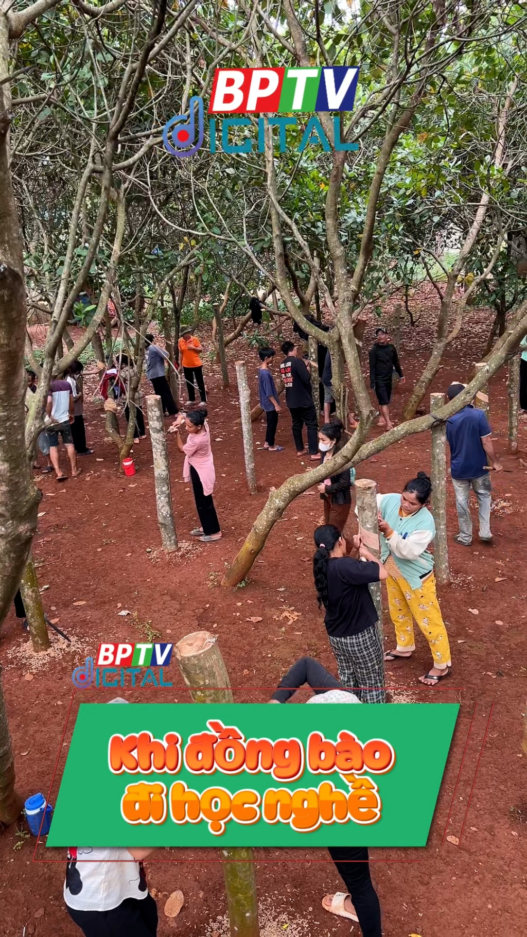 Đồng b&agrave;o học nghề, kh&ocirc;ng lo khổ nữa #shorts