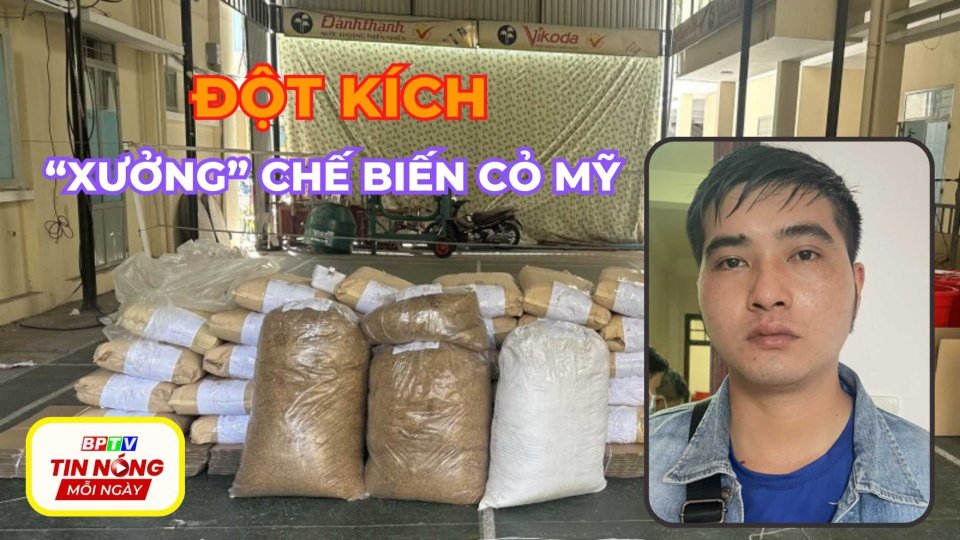 Đột kích “xưởng” chế biến, thu giữ gần 7 tạ cỏ Mỹ