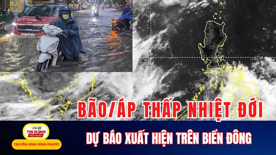 Dự báo biển Đông xuất hiện 1 - 2 cơn bão/áp thấp nhiệt đới trong tháng tới