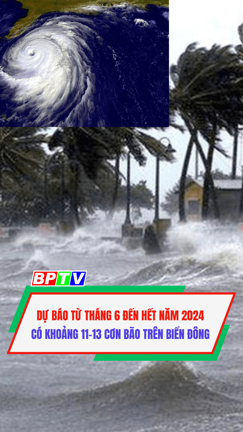 Dự báo từ tháng 6 đến hết năm 2024 có khoảng 11-13 cơn bão trên biển Đông #shorts