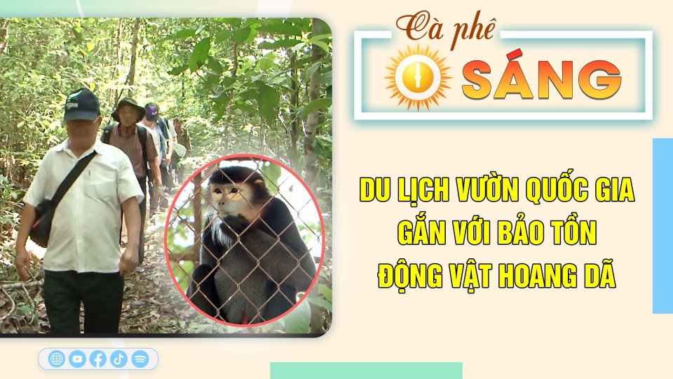 Du lịch Vườn quốc gia gắn với bảo tồn động vật hoang dã |Cà phê sáng 4-5-2023 ||BPTV
