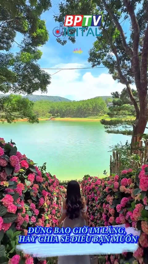 Đừng chờ đến khi quá muộn #shorts