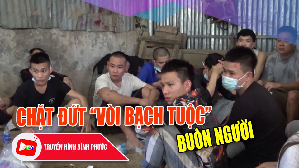 Đừng để chiêu trò “việc nhẹ, lương cao” lôi kéo |BPTV