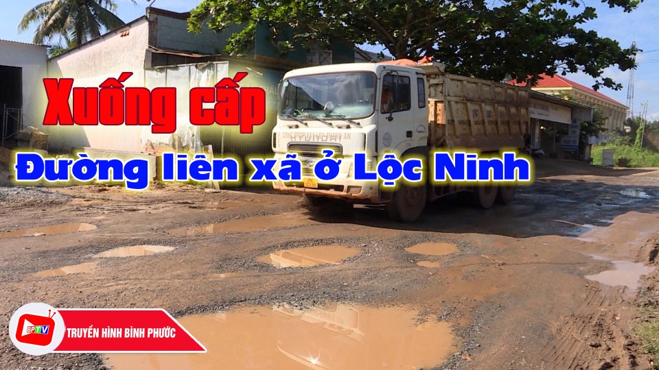 Đường liên xã ở Lộc Ninh xuống cấp nghiêm trọng, dân mong sớm sửa chữa |BPTV