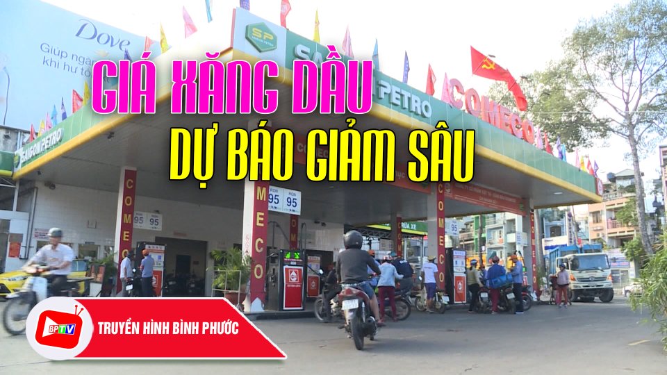 Giá xăng dự báo sẽ giảm sâu |BPTV