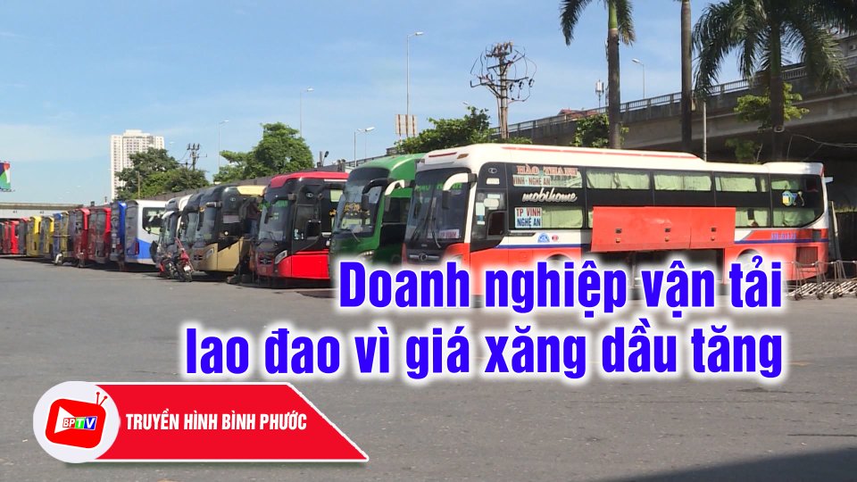 Giá xăng tăng, doanh nghiệp vận tải điêu đứng |BPTV