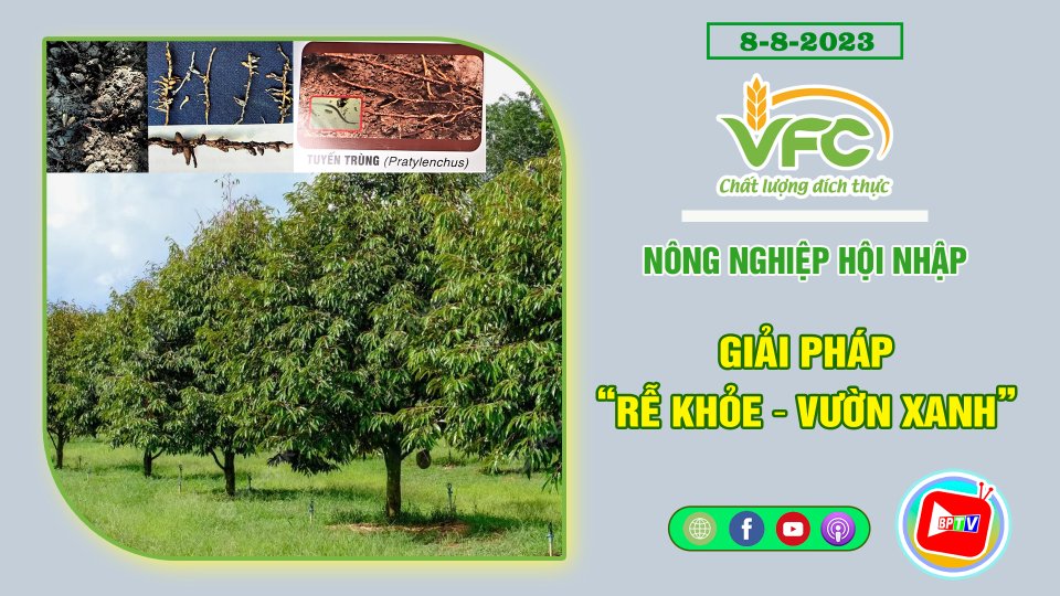 Giải pháp “rễ khỏe - vườn xanh” | VFC - Nông nghiệp hội nhập
