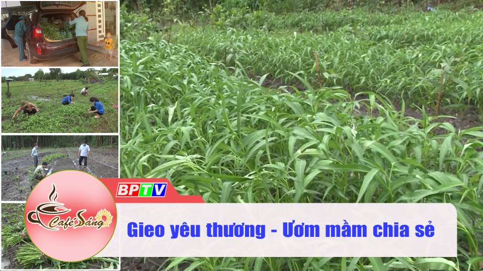 Gieo mầm xanh yêu thương cho đời |Cà phê sáng 17-10-2021 |BPTV