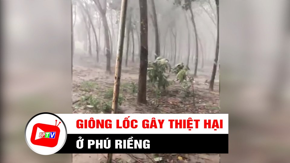 Giông lốc gây thiệt hại về cây trồng và nhà cửa ở Phú Riềng | BPTV