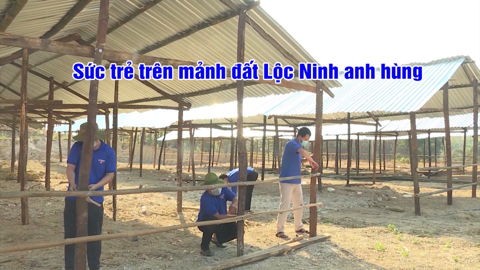 Góp sức trẻ trên mảnh đất Lộc Ninh anh hùng