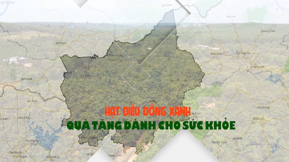 Hạt điều Đồng Xanh quà tặng dành cho sức khỏe