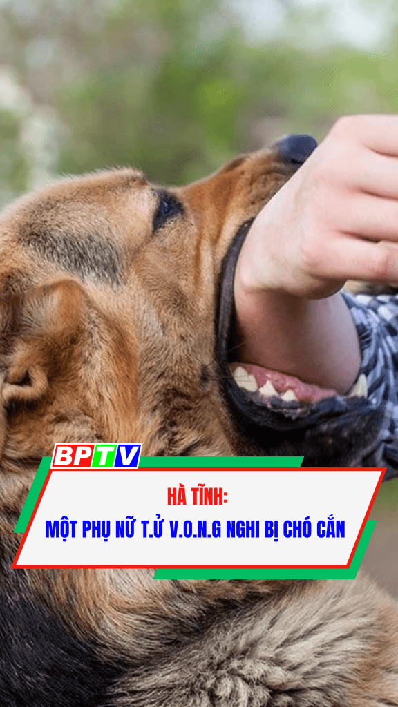 H&agrave; Tĩnh: Một phụ nữ t.ử v.o.n.g nghi bị ch&oacute; cắn  #shorts