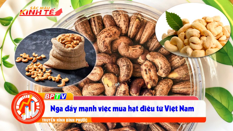 Hạt điều Việt Nam khẳng định vị trí số 1 tại Nga |Sắc màu kinh tế 15-9-2021 |BPTV