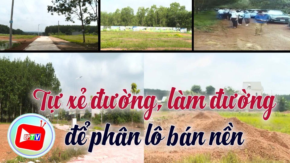 Hậu họa từ việc tự xẻ đường để phân lô bán nền trên đất nông nghiệp 
