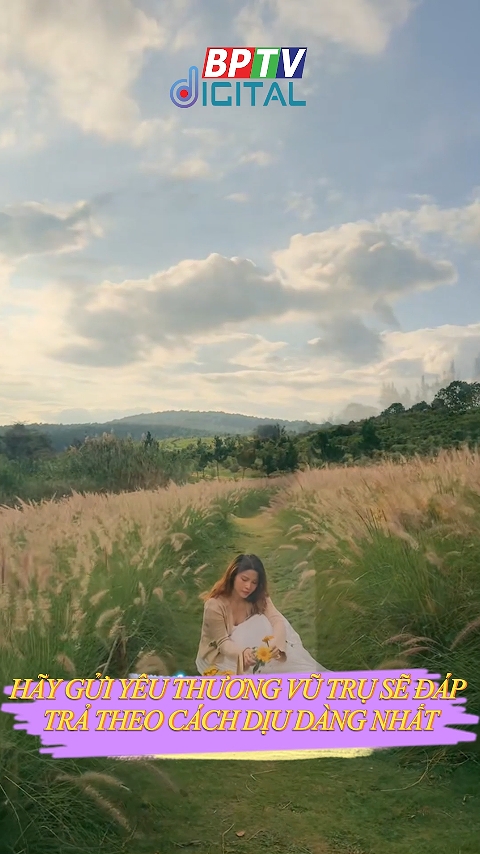 Hãy gửi yêu thương, vũ trụ sẽ đáp trả lại theo cách dịu dàng nhất #shorts  #shorts