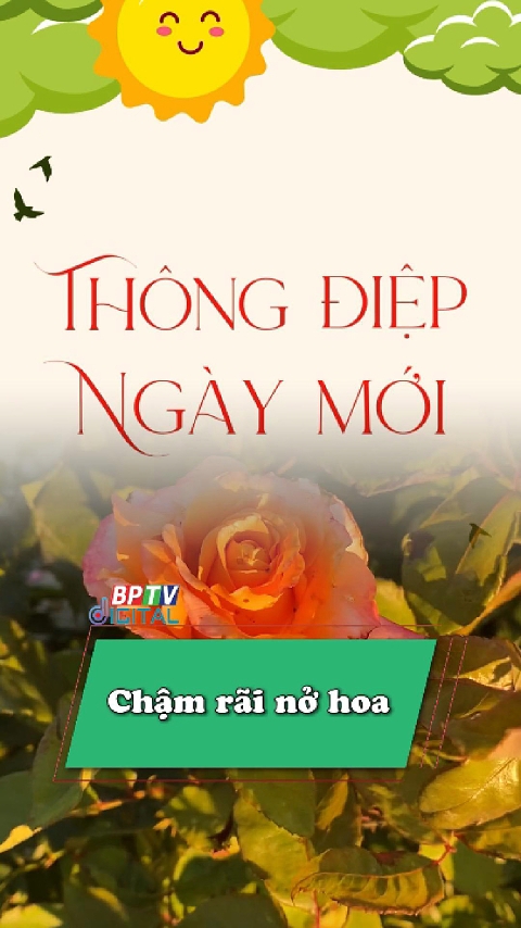 Hãy kiên nhẫn với bản thân, với hành trình và trải nghiệm của chính mình #shorts