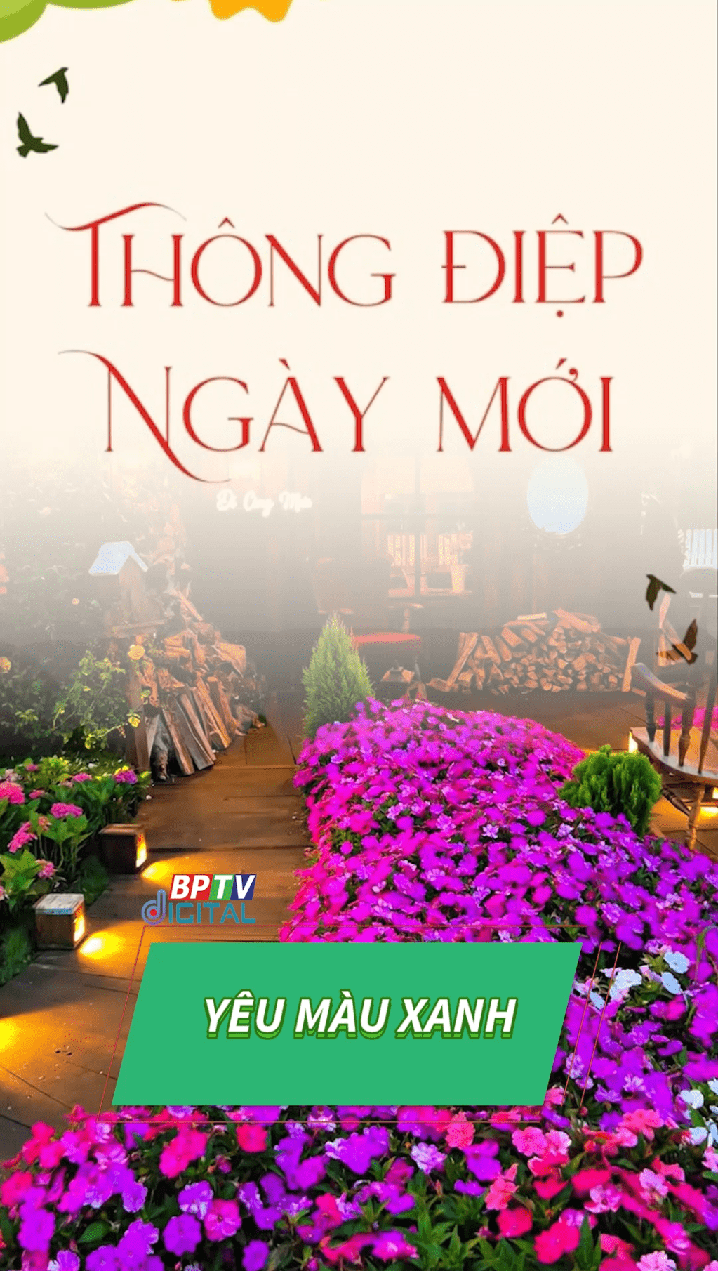 Hãy ra ngoài nhiều hơn #shorts