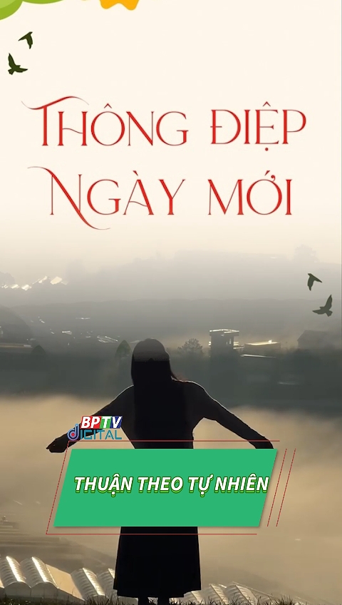 Hãy thuận theo tự nhiên mà sống  #shorts