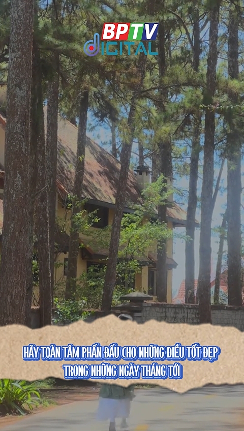 Hãy toàn tâm phấn đấu cho những ngày tháng tới #shorts