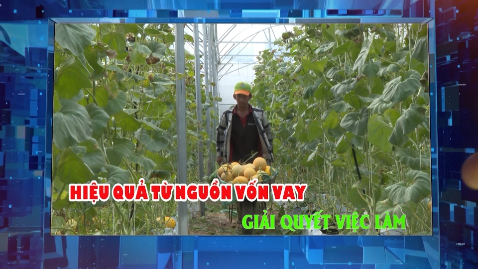 Hiệu quả từ nguồn vốn vay giải quyết việc làm