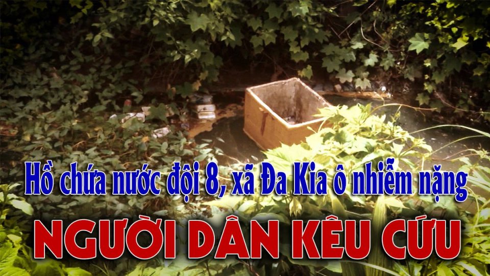 Hồ chứa nước đội 8, xã Đa Kia ô nhiễm nặng: Đâu là nguyên nhân? | BPTV