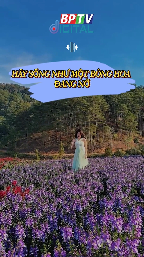 Hoa chẳng hỏi ‘Tôi đẹp không?’. Hãy như hoa - cứ nở, cứ là chính mình #shorts