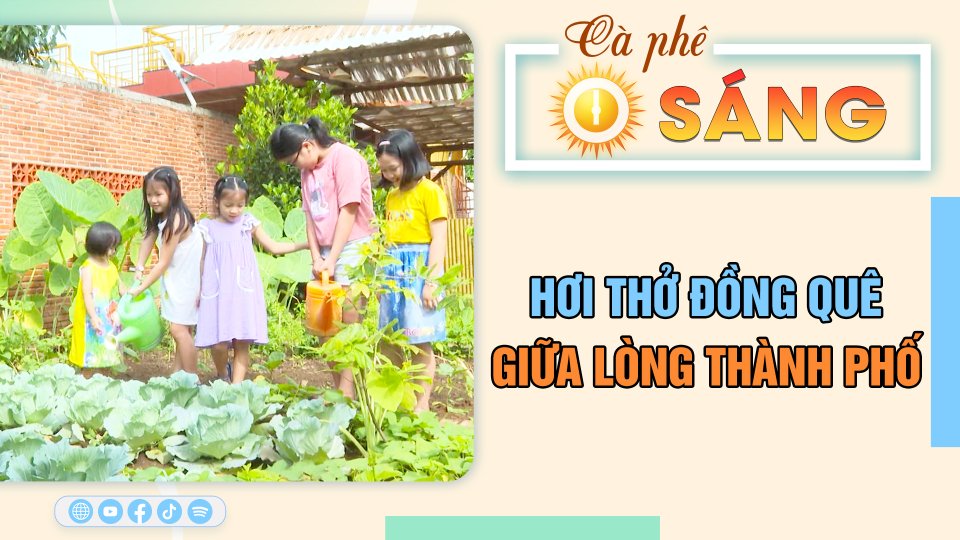 Hơi thở đồng quê giữa lòng thành phố | Cà phê sáng 26-2-2023 || BPTV