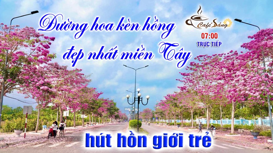 Hút hồn với con đường hoa trải đầy sắc hồng ở miền Tây |Cà phê sáng 23-3-2022 |BPTV