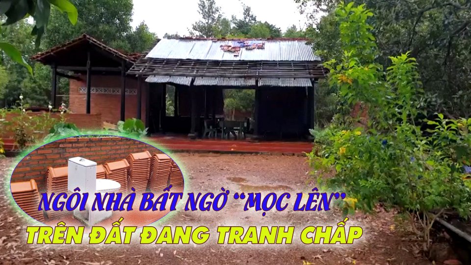 HY HỮU: Đất đang tranh chấp, bất ngờ “mọc lên” căn nhà