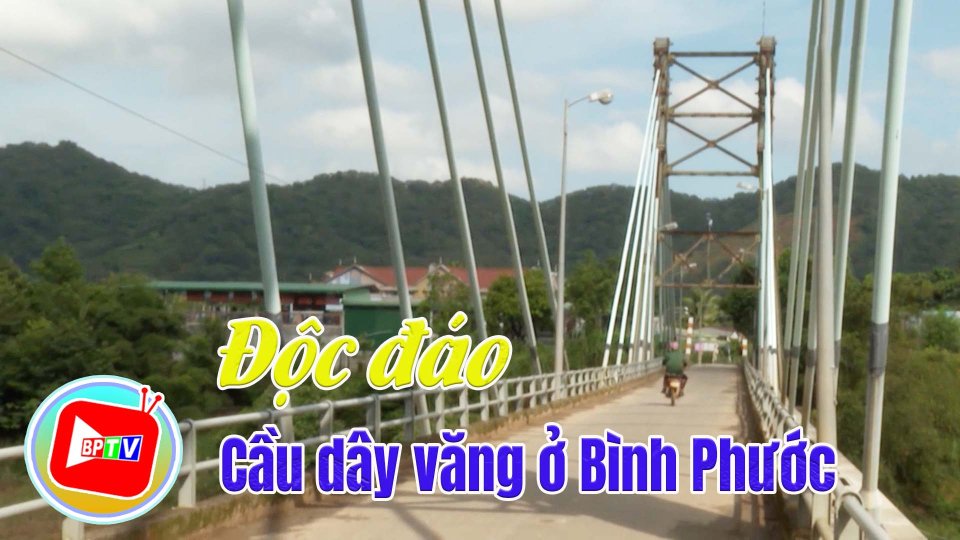Khám phá cây cầu dây văng “độc nhất vô nhị” ở Bình Phước |BPTV