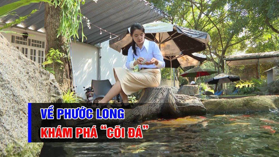 Khám phá “cõi đá” đặc biệt ở thị xã Phước Long | BPTV