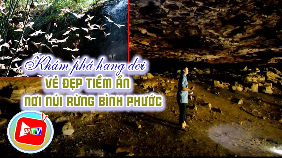Khám phá hang dơi ẩn mình trong Vườn quốc gia Bù Gia Mập |Bình Phước đất và người ||BPTV