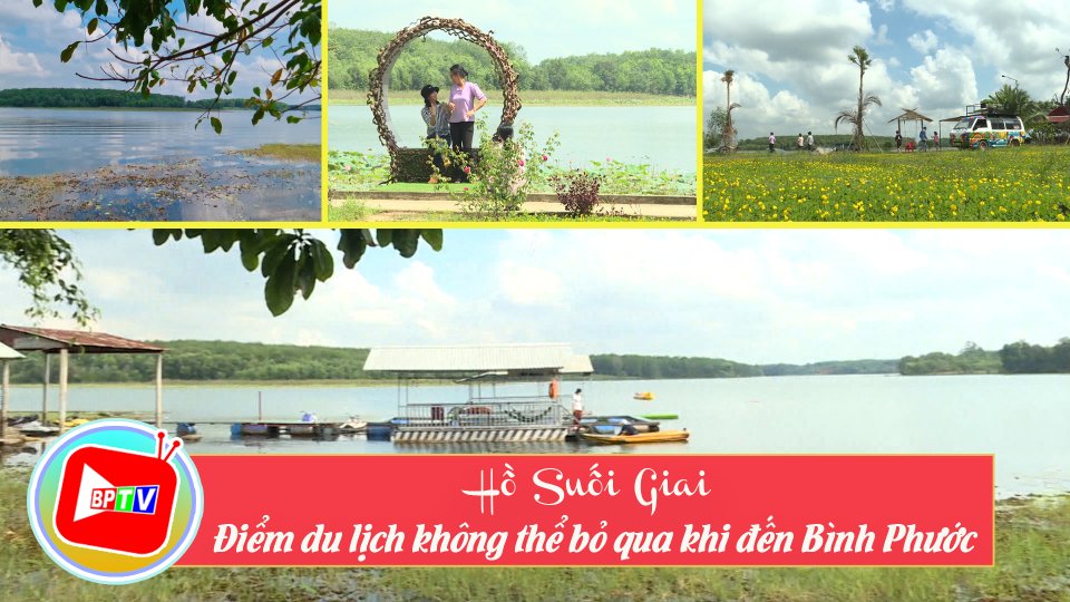 Khám phá Hồ Suối Giai: Vẻ đẹp ngất ngay, dã ngoại bao “phê” 