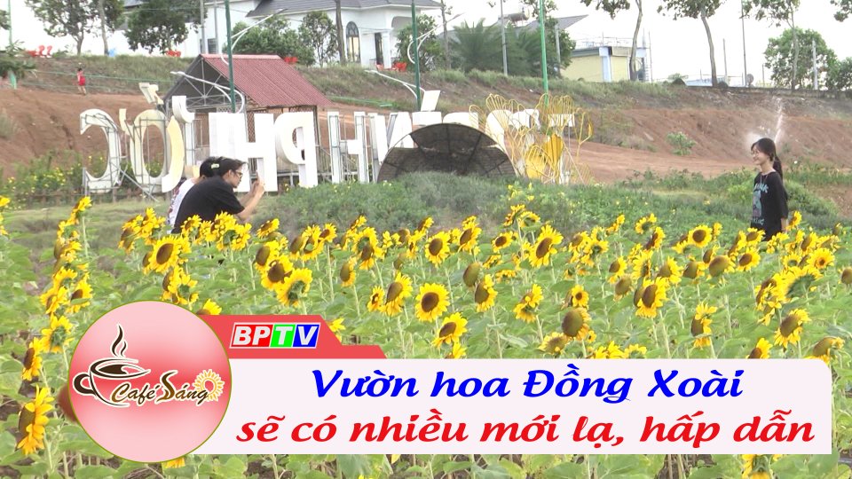 Khẩn trương cải tạo vườn hoa Đồng Xoài phục vụ Tết Quý Mão 2023 | Cà phê sáng 27-12-2022 | BPTV