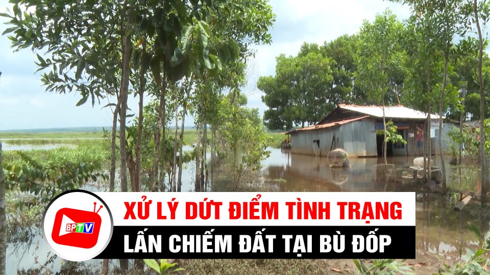 Khẩn trương xử lý dứt điểm tình trạng lấn chiếm đất tại Bù Đốp | BPTV