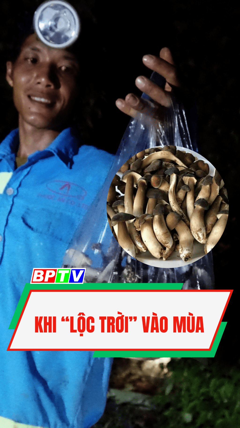 Khi &ldquo;Lộc trời&rdquo; v&agrave;o m&ugrave;a #shorts