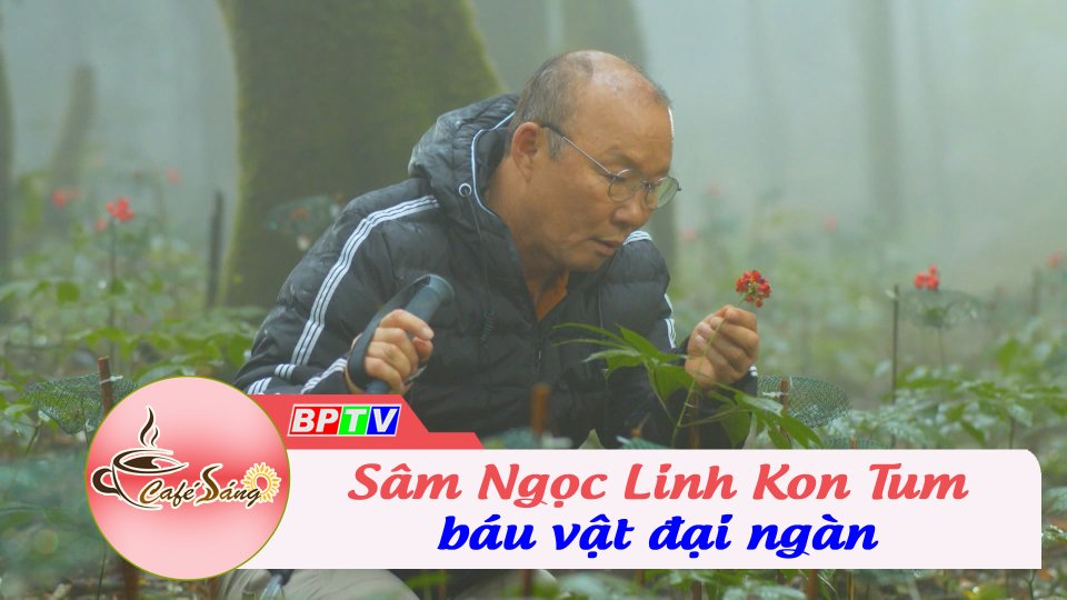 “Kho báu” trên đỉnh núi Kon Tum | Cà phê sáng 6-8-2022 || BPTV