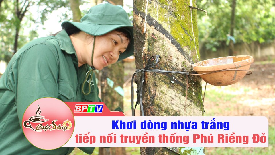 Khơi dòng nhựa trắng, tiếp nối truyền thống Phú Riềng Đỏ | Cà phê sáng 28-10-2022 || BPTV
