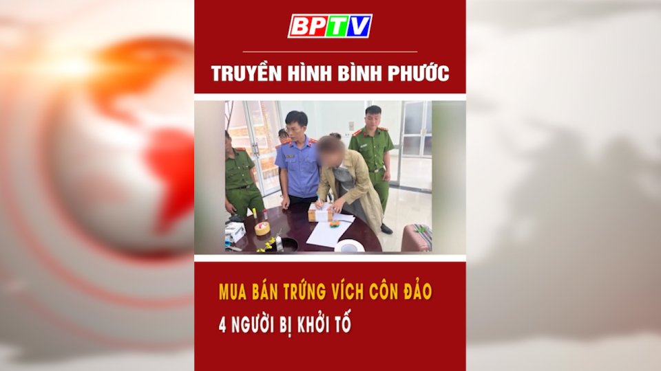 Khởi tố 4 bị can trong vụ mua bán trứng vích ở Côn Đảo