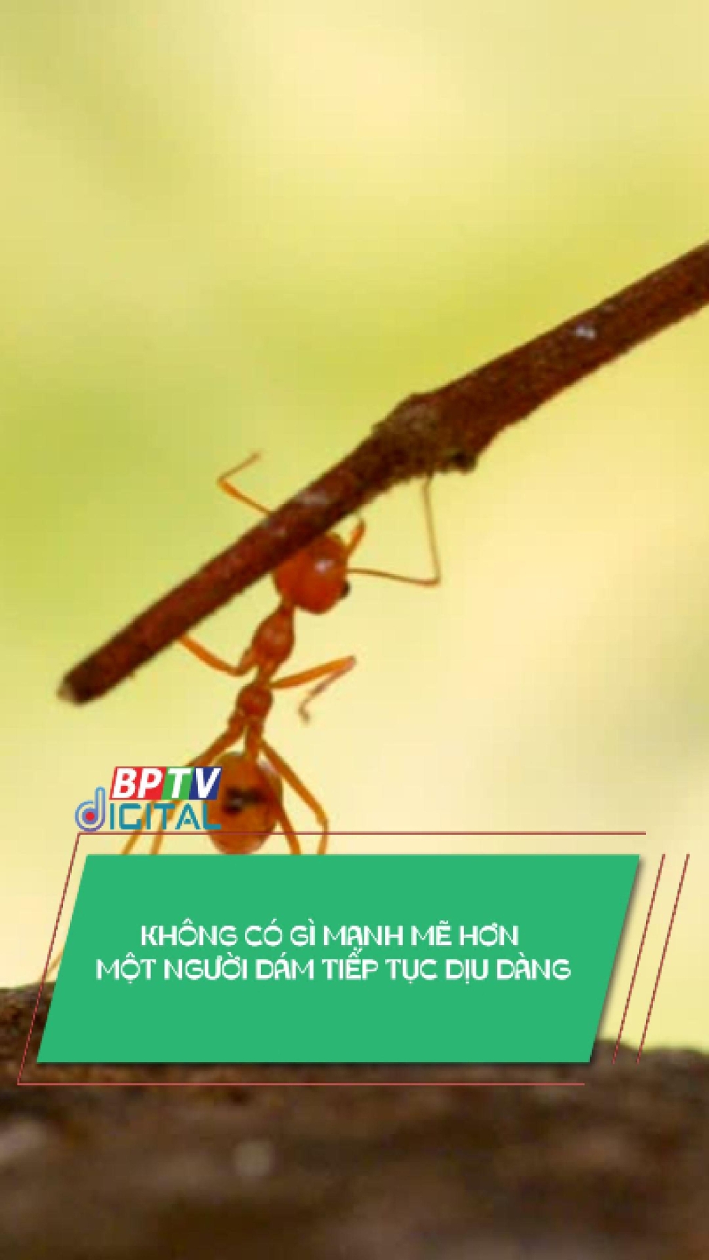 Kh&ocirc;ng c&oacute; g&igrave; mạnh mẽ hơn một người d&aacute;m tiếp tục dịu d&agrave;ng #shorts