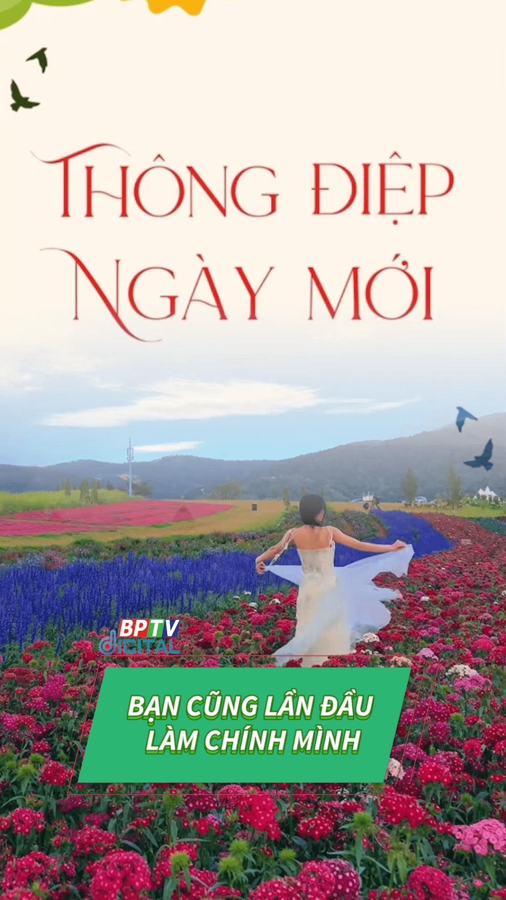 Không vội, không cần hơn ai, chỉ cần mỗi ngày được sống đúng với bản thân #shorts